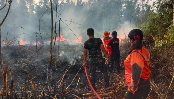 Melawi Menghadapi Tantangan: Kebakaran Hutan, Keamanan, dan Pembangunan