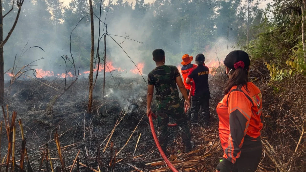 Melawi Menghadapi Tantangan: Kebakaran Hutan, Keamanan, dan Pembangunan