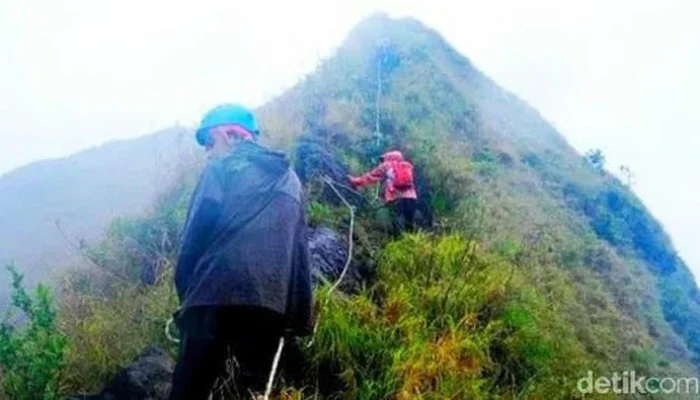 Mengenal Gunung Piramid: Daya Tarik, Jalur Pendakian, dan Tantangan