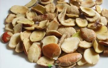 Nigeria: Dari Ogbono Seeds Hingga Kerja Sama dengan China, Berikut Berita Terbaru