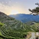 Pafos: Kota Indah di Cyprus dengan Winery yang Mengagumkan