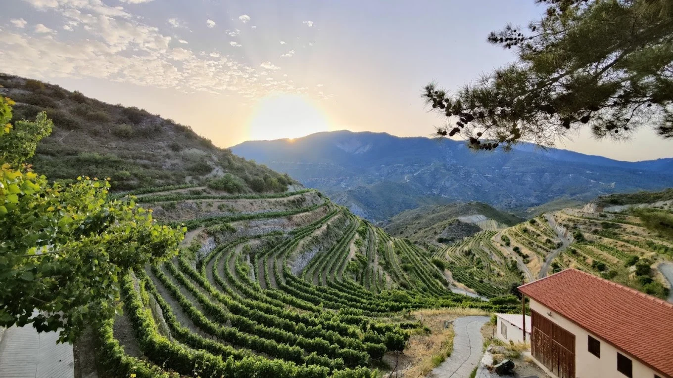 Pafos: Kota Indah di Cyprus dengan Winery yang Mengagumkan