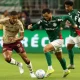 Palmeiras Siap Berlaga di Copa do Brasil U-15 dan U20