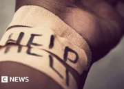 Perez Hilton Dalam Proses Pemulihan Setelah Livestream Self-Harm di TikTok