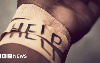 Perez Hilton Dalam Proses Pemulihan Setelah Livestream Self-Harm di TikTok