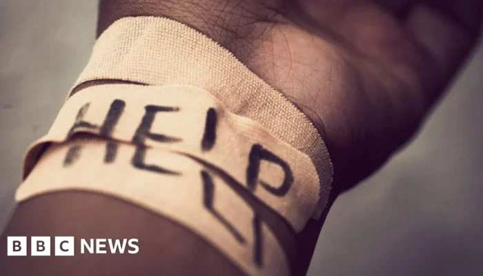 Perez Hilton Dalam Proses Pemulihan Setelah Livestream Self-Harm di TikTok