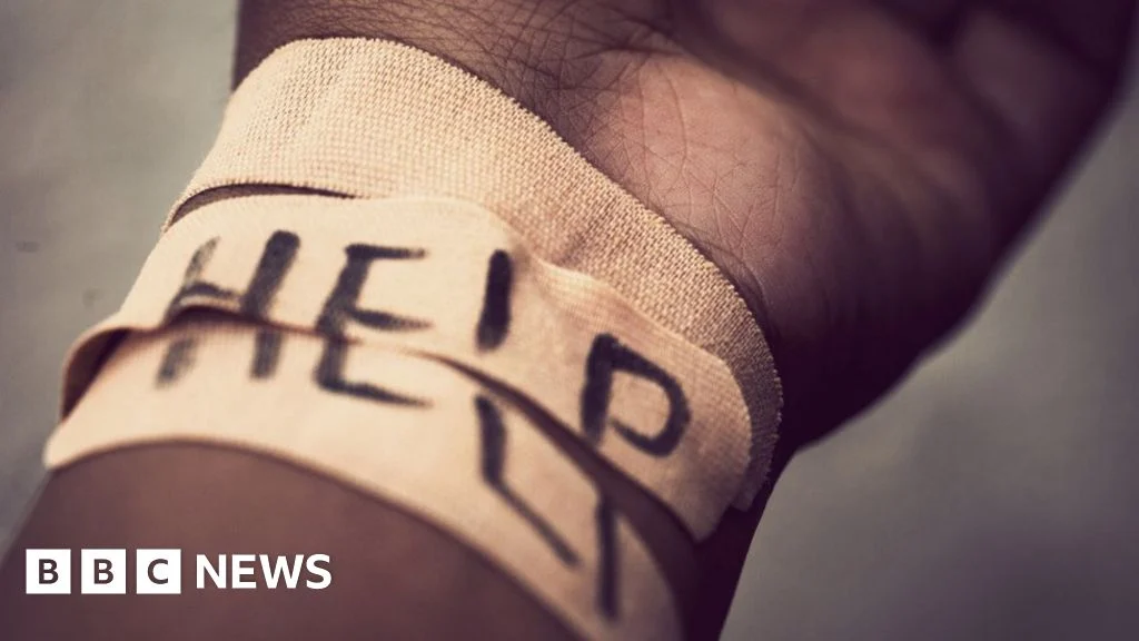 Perez Hilton Dalam Proses Pemulihan Setelah Livestream Self-Harm di TikTok