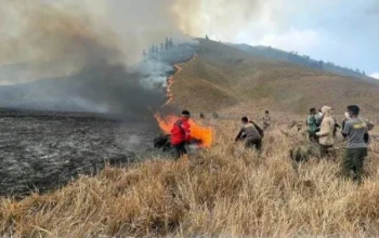 Pratikno Bantah Kabar Sakit dan Mundur, Fokus Atasi Kebakaran di Bromo