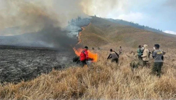 Pratikno Bantah Kabar Sakit dan Mundur, Fokus Atasi Kebakaran di Bromo