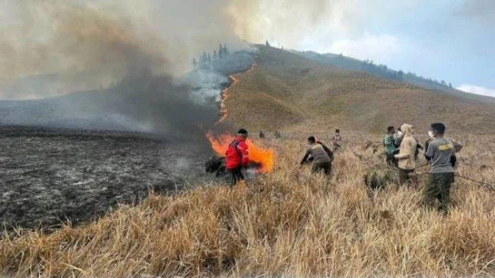 Pratikno Bantah Kabar Sakit dan Mundur, Fokus Atasi Kebakaran di Bromo