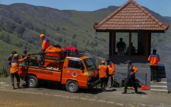 Pratikno Turun Langsung Tangani Kebakaran Hutan di Bromo, Pemerintah Berupaya Pemadaman yang Efektif