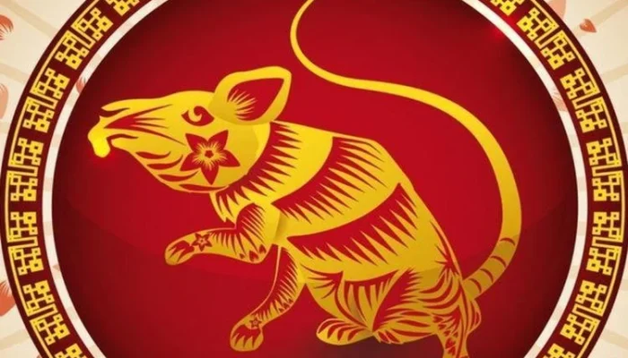 Ramalan Shio Tikus: Kesempatan Emas untuk Meningkatkan Kehidupan