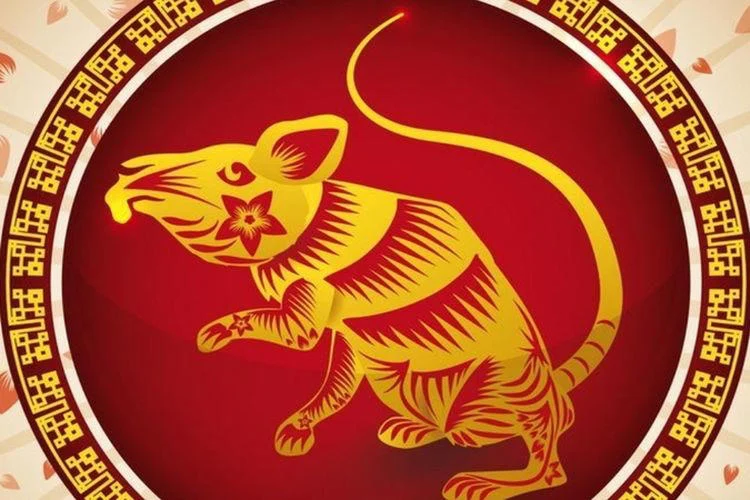 Ramalan Shio Tikus: Kesempatan Emas untuk Meningkatkan Kehidupan