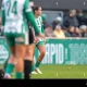 Rapid Wien dan ÖFB-Frauen Bundesliga: Tinjauan Terbaru