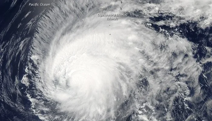 Typhoon Dolphin Menghantam Cina, Ribuan Penerbangan Dibatalkan dan Warga Diungsikan