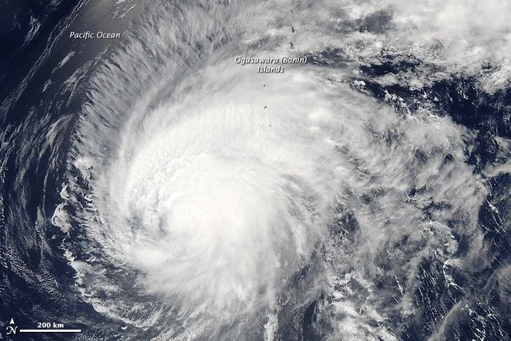 Typhoon Dolphin Menghantam Cina, Ribuan Penerbangan Dibatalkan dan Warga Diungsikan